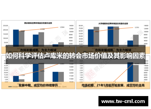 如何科学评估卢库米的转会市场价值及其影响因素