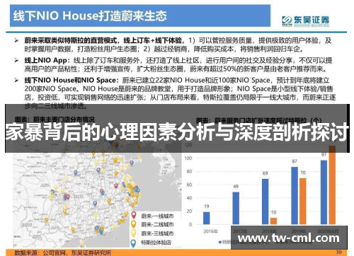 家暴背后的心理因素分析与深度剖析探讨