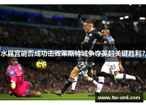 水晶宫能否成功击败莱斯特城争夺英超关键胜利？