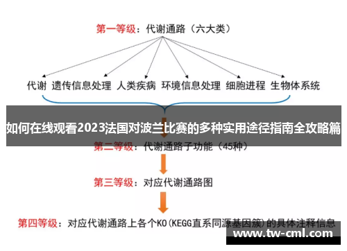 如何在线观看2023法国对波兰比赛的多种实用途径指南全攻略篇