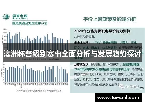 澳洲杯各级别赛事全面分析与发展趋势探讨